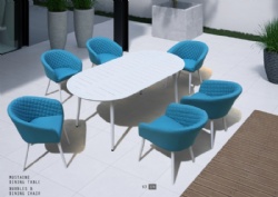 Blue plaid waterproof chair and long dining table